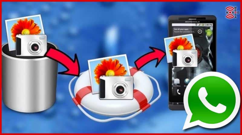 Come Recuperare Foto Eliminate Da Whatsapp Come recuperare foto Whatsapp: la guida completa